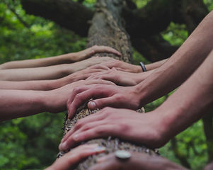 Image by Shane Rounce