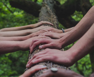 Image by Shane Rounce