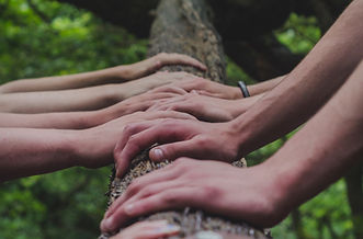 Image by Shane Rounce