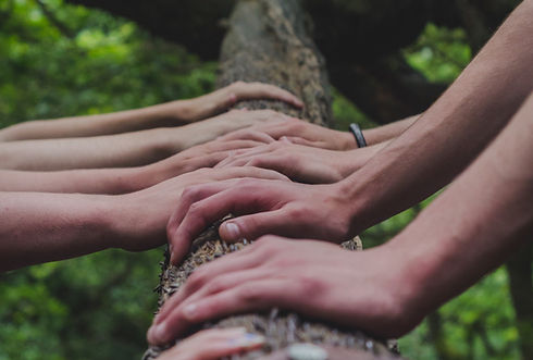 Image by Shane Rounce