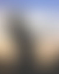 Letting Yourself Be Seen Through Movement