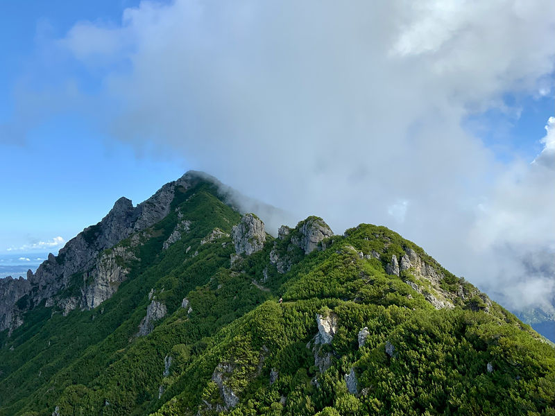 Image by vonMitzscha