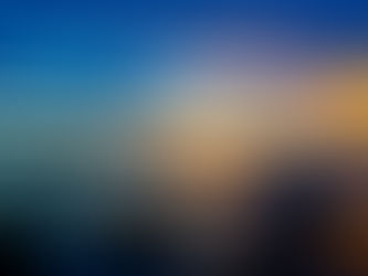 東京湾にスナメリだって！