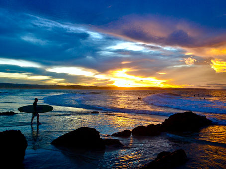 東京湾にスナメリだって！