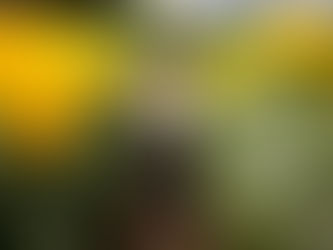 2025.09.07. 주일오전예배, 요한복음 7:53-8:11, 먼저 자신을 돌아봅시다!