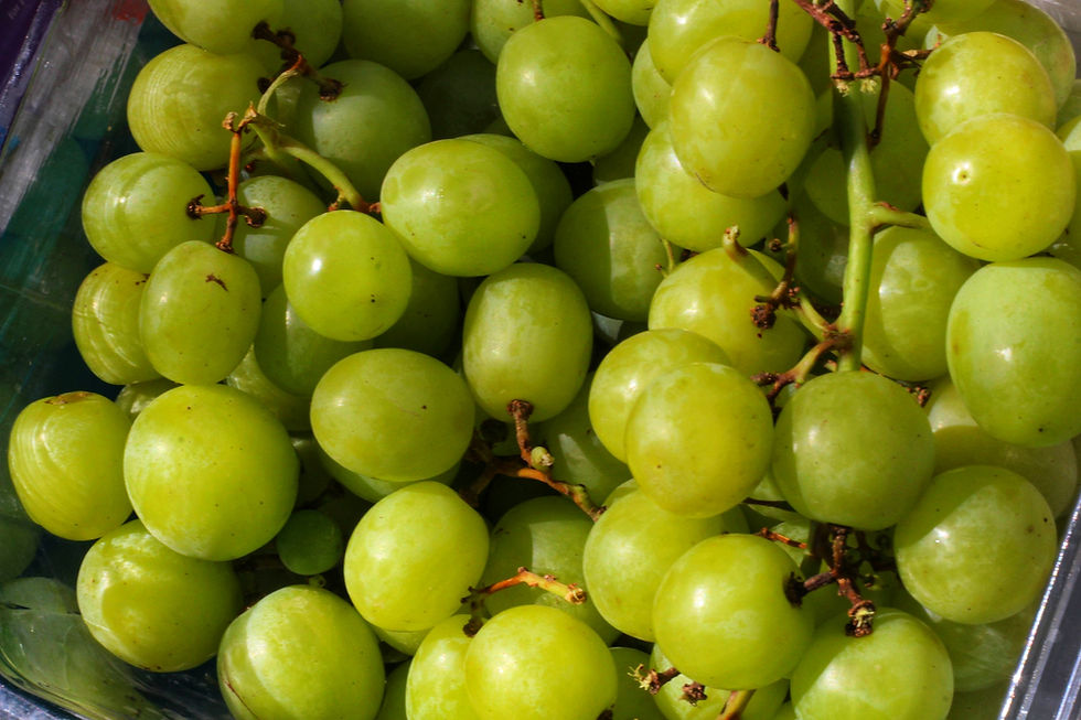Green Grapes (Seedless 450g)