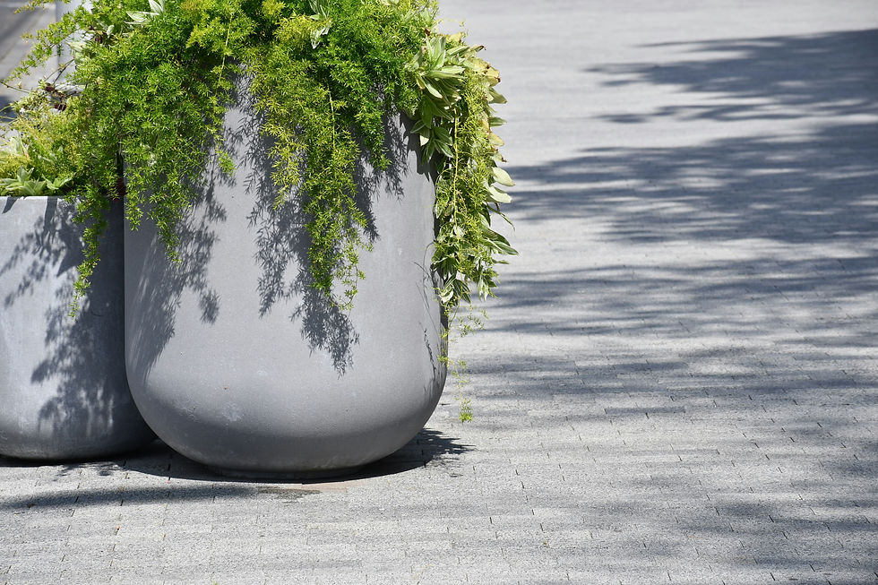 Image by Anna Kharkivska