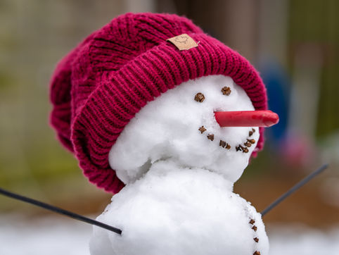 רש"י – ראש פרשני ההגשמה (חלק ס)