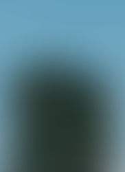 Why the Chief Sustainability Officer Role Matters in the GCC