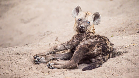 Image by Birger Strahl