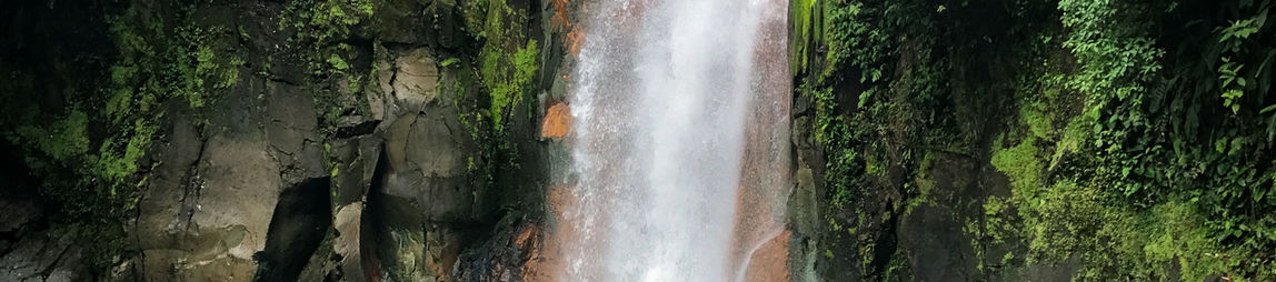 Image by Marcelo Villalobos