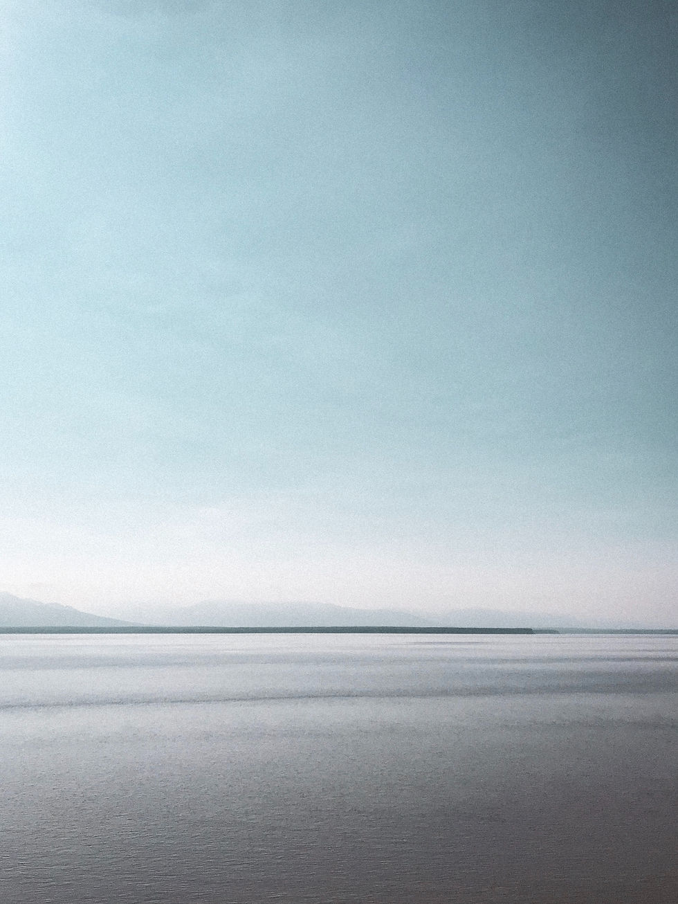 Image by Hannah Reinhardt