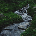 Image by Oleksandra Bardash