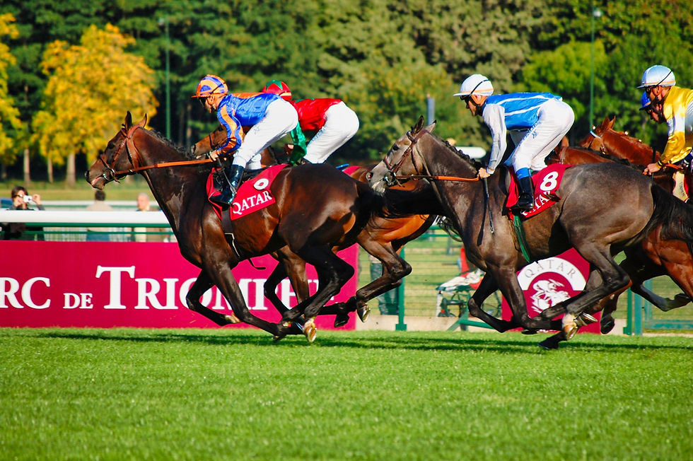 Horses in a race at Paris Longchamp, France