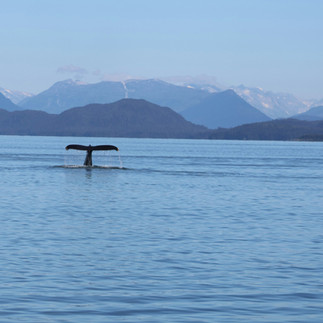 Ruta completa por Alaska en 21 días