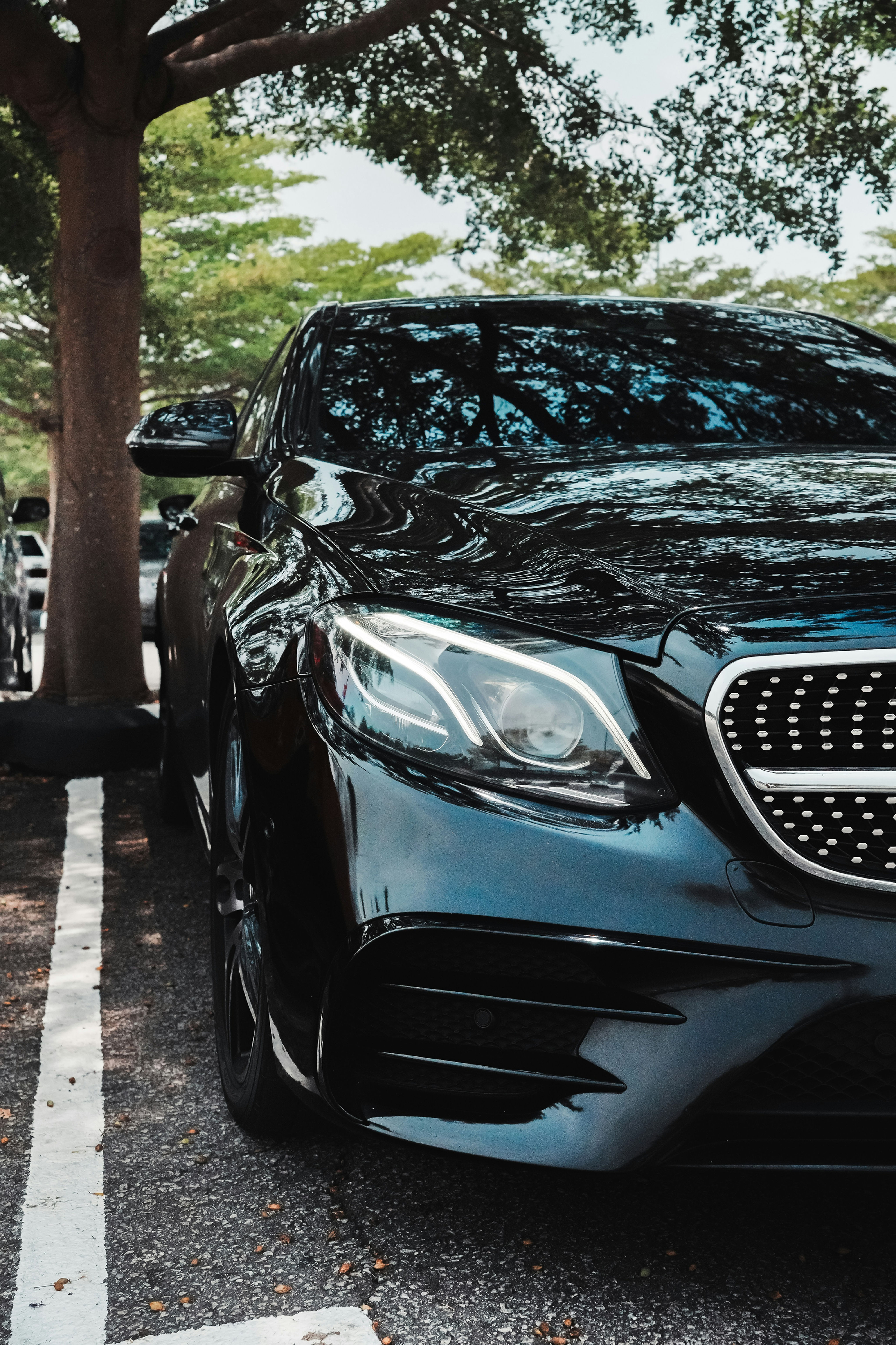 Glossy freshly detailed Black car.