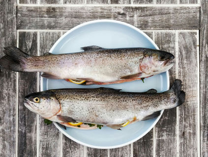 Forellenverkauf an Gründonnerstag