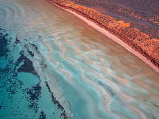 Beyond Jurisdiction: A Legal and Ecological Appraisal of the High Seas Treaty - II