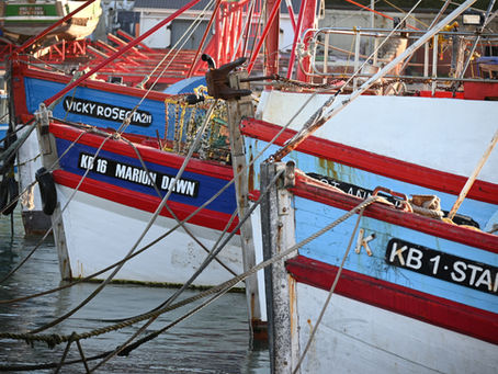 Cape Town: Unmissable Sights and Experiences