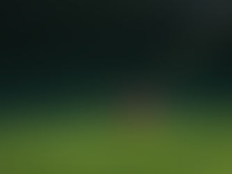 Freischneider im Wert von 600 Euro gestohlen: Polizei Celle sucht Zeugen