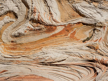 Image by Thomas Crozier