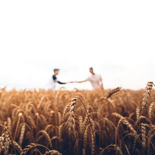 farmers shaking hands