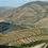 Miniatura: Douro, Portugal