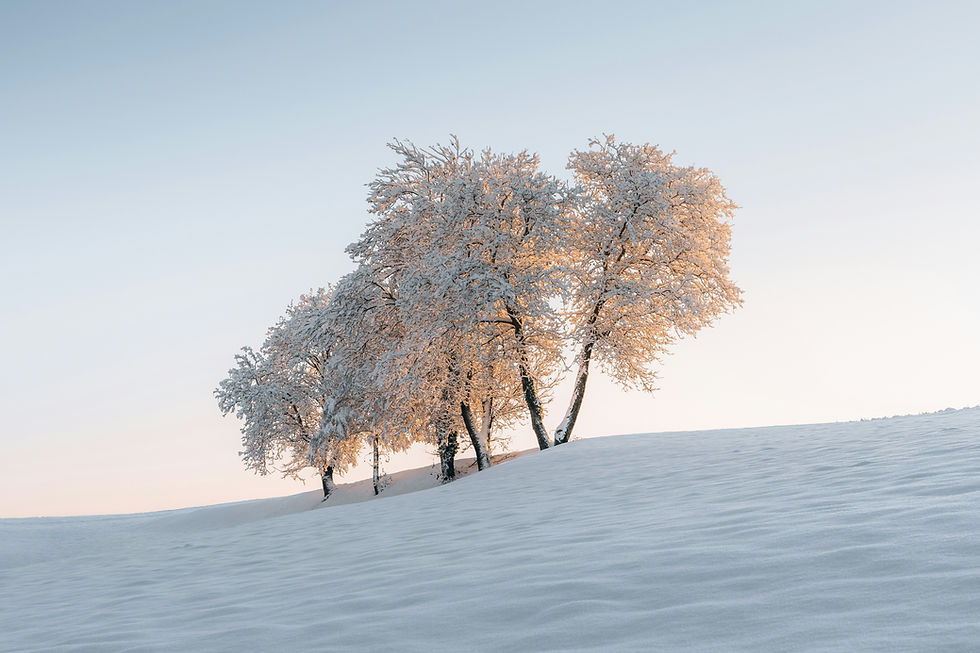Image by Pascal Debrunner