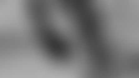 Nerve Blocks Explained: How We Diagnose Lameness