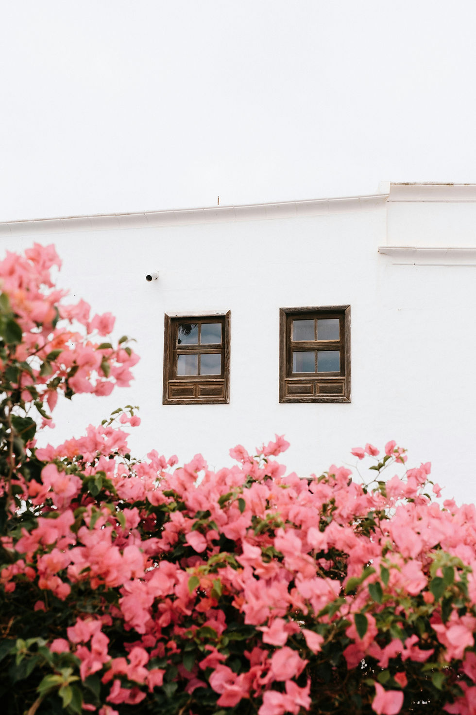 Submit a Guest Post in Paralimni