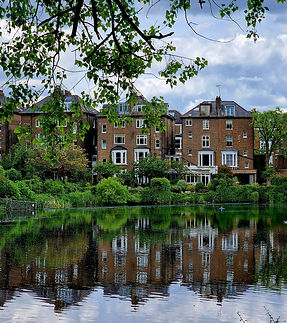 Image by Krisztina Anna Berecz