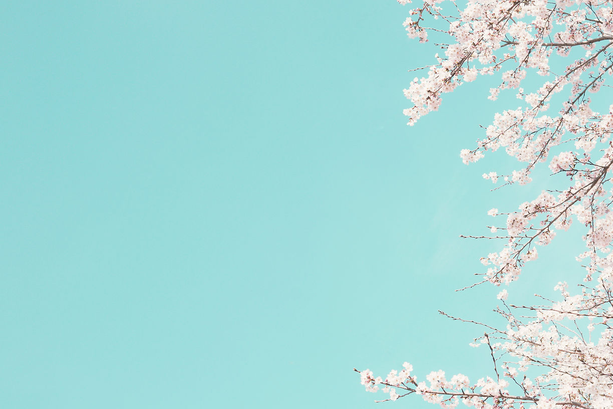 Image by J Lee