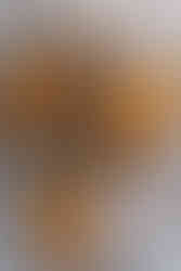 menu de hamburguesa, en bandejas ovaladas con papel kraft