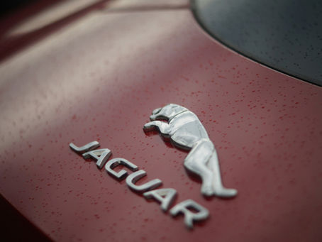 Jaguar’s Major Decline: Sales Sound the Alarm