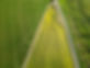 -post-ai-image-735.png