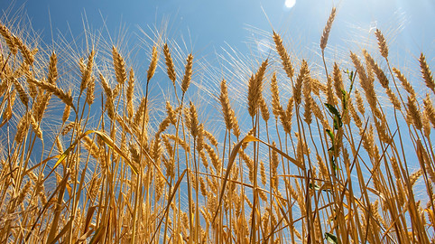 Image de Samuel Myles