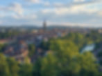 SMPA Local Meeting: Bern