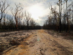 Fire trauma recovery and psychological support for emergency services and bushfire-affected communities