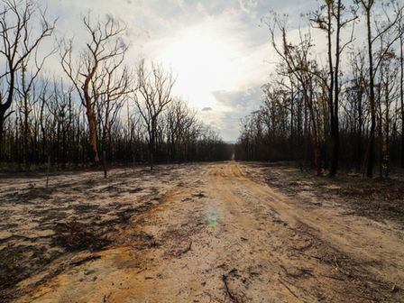 Fire trauma recovery and psychological support for emergency services and bushfire-affected communities