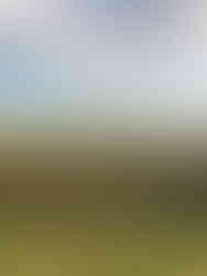 ボルドーワイン