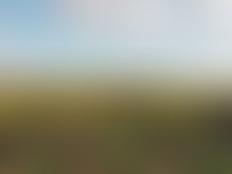 Unveiling the World's Most Famous Wine Region