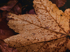 Neuigkeiten für Unternehmer [November 2025]