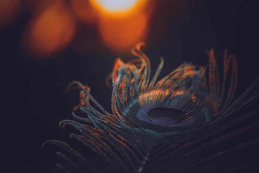 Image by Sandip Karangiya