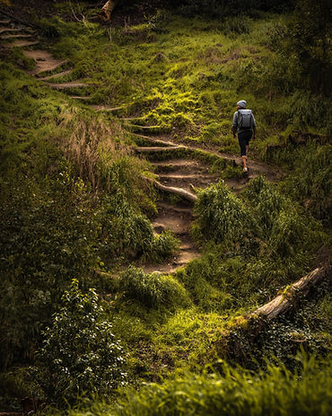 Image by Jared Murray