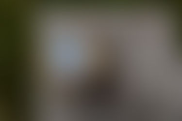 Too Much Life Packed into One Year