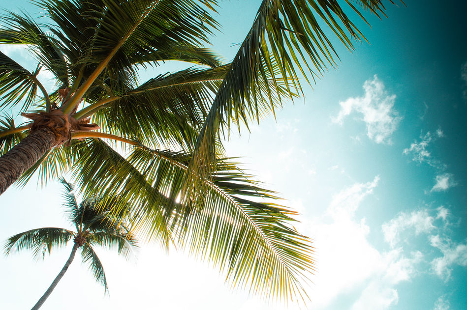 Image by Charly Darque