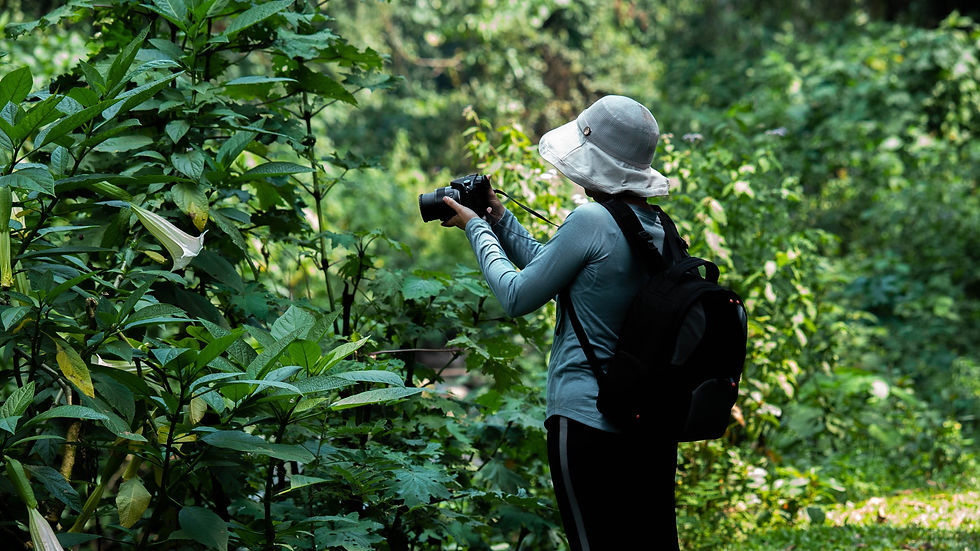 Exploring Uganda forests