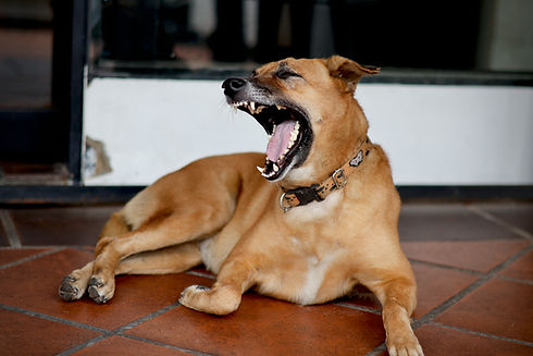 Image de You Le