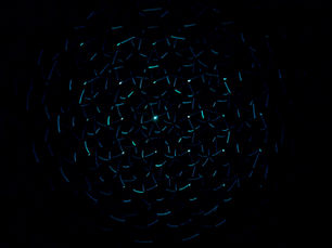 GARP SCR 2026 vs 2025: What Changed in the Learning Objectives