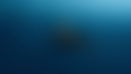 Sharks: Turning fear into memory